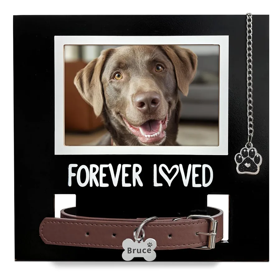 MYPAWLETS Pet Loss Gift,Dog