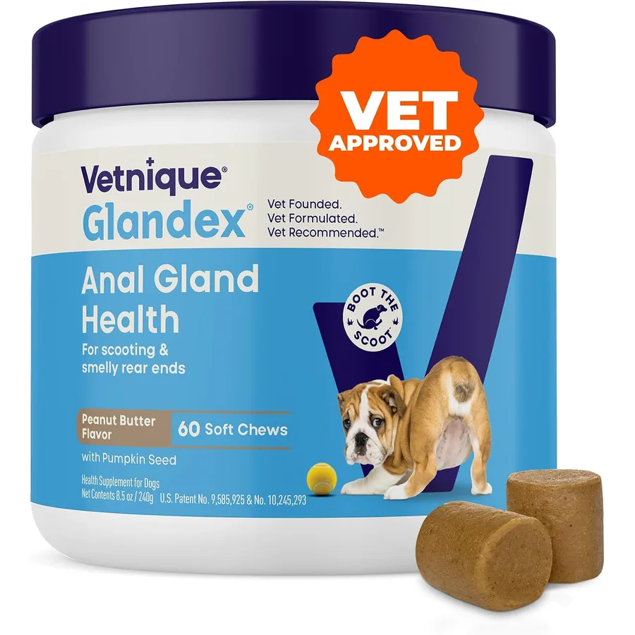 Glandex for Dogs Anal Gland Chews 60ct Pumpkin + Digestive Enzymes