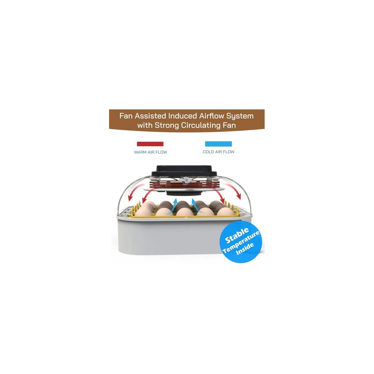 MATICOOPX 20 Egg Incubator with Humidity Display, Egg Candler, Automatic Egg Turner, for Hatching Chickens — image 3