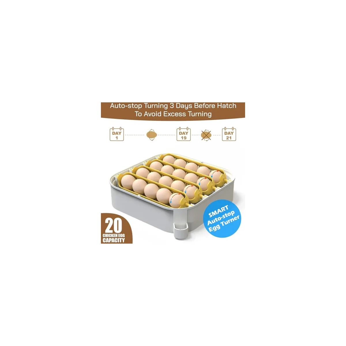 MATICOOPX 20 Egg Incubator with Humidity Display, Egg Candler, Automatic Egg Turner, for Hatching Chickens — image 6