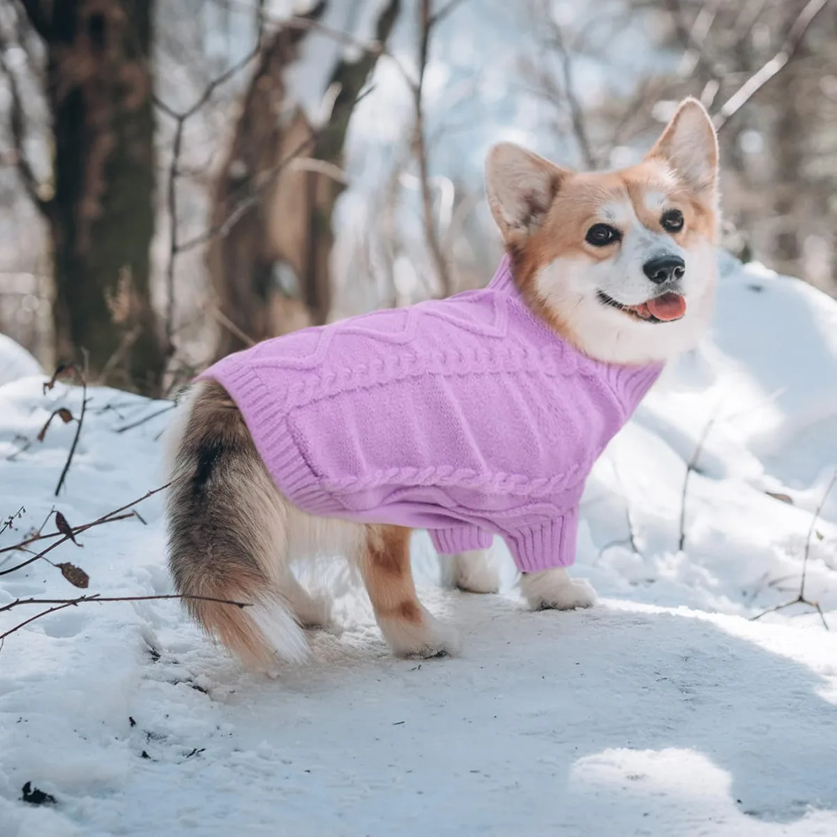 Queenmore Small Dog Sweater for Small Dogs Girl, Winter Dogs/Cats Pullover — image 2