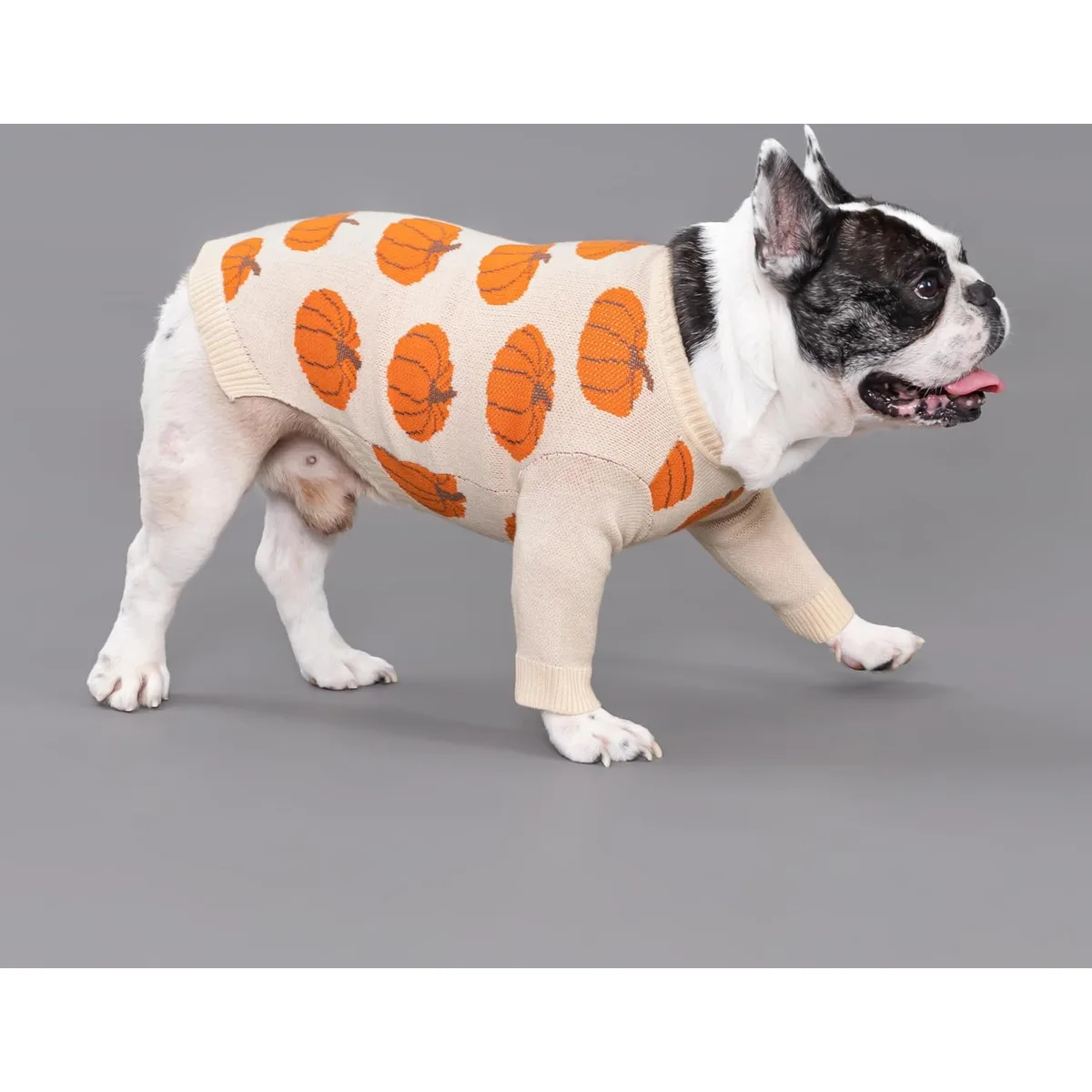 Fitwarm Pumpkin Dog Sweater, Thanksgiving Outfit for Small Dogs Boy Girl, Pet Outfit, Orange, Beige, Medium — image 2