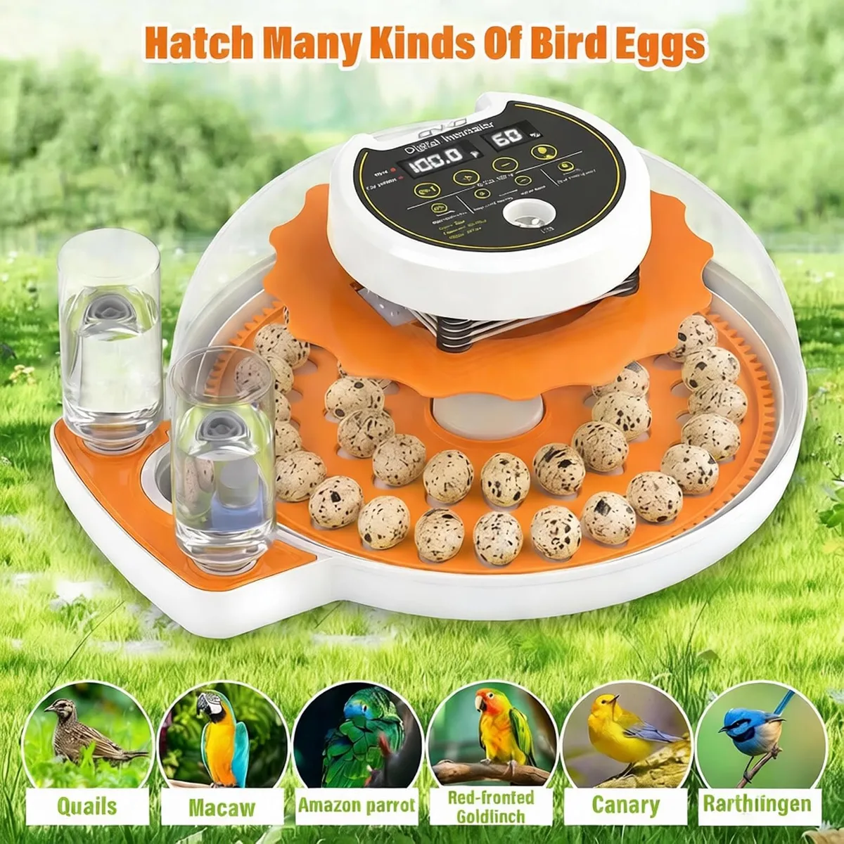 Quail Egg Incubator with Automatic Turner and Humidity Control — image 8