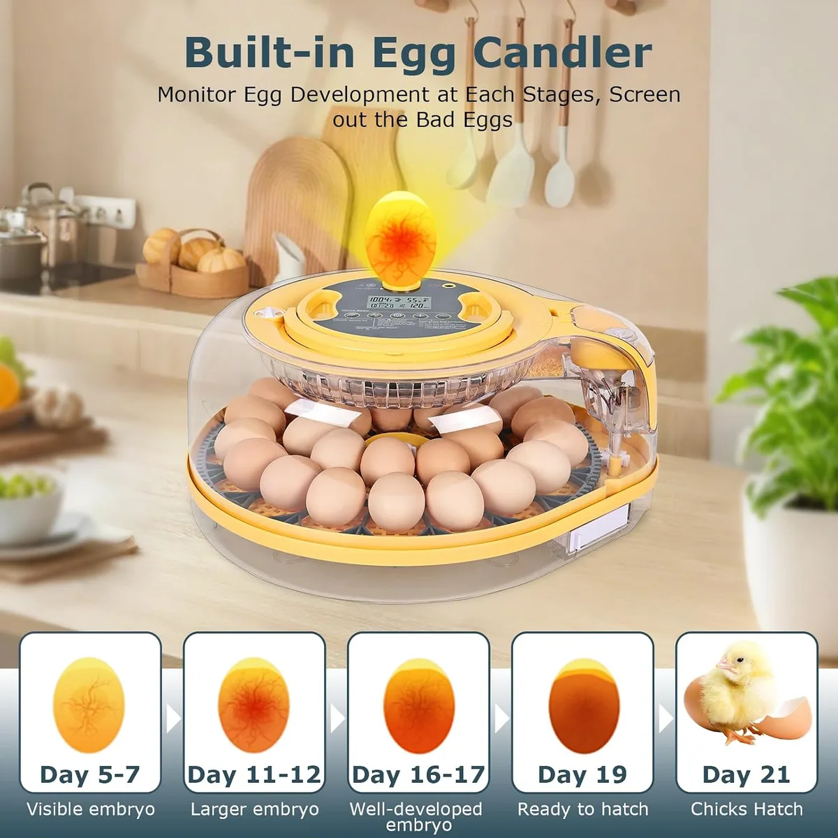 Egg Incubator, 26 Chicken/59 Quail Eggs Incubators for Hatching Eggs with Temp & Humidity Control, Auto Egg Turner, Adjustable Hatch Day & Air Vent, Egg Candler, Auto Water Refill, 360° Clear View — image 6