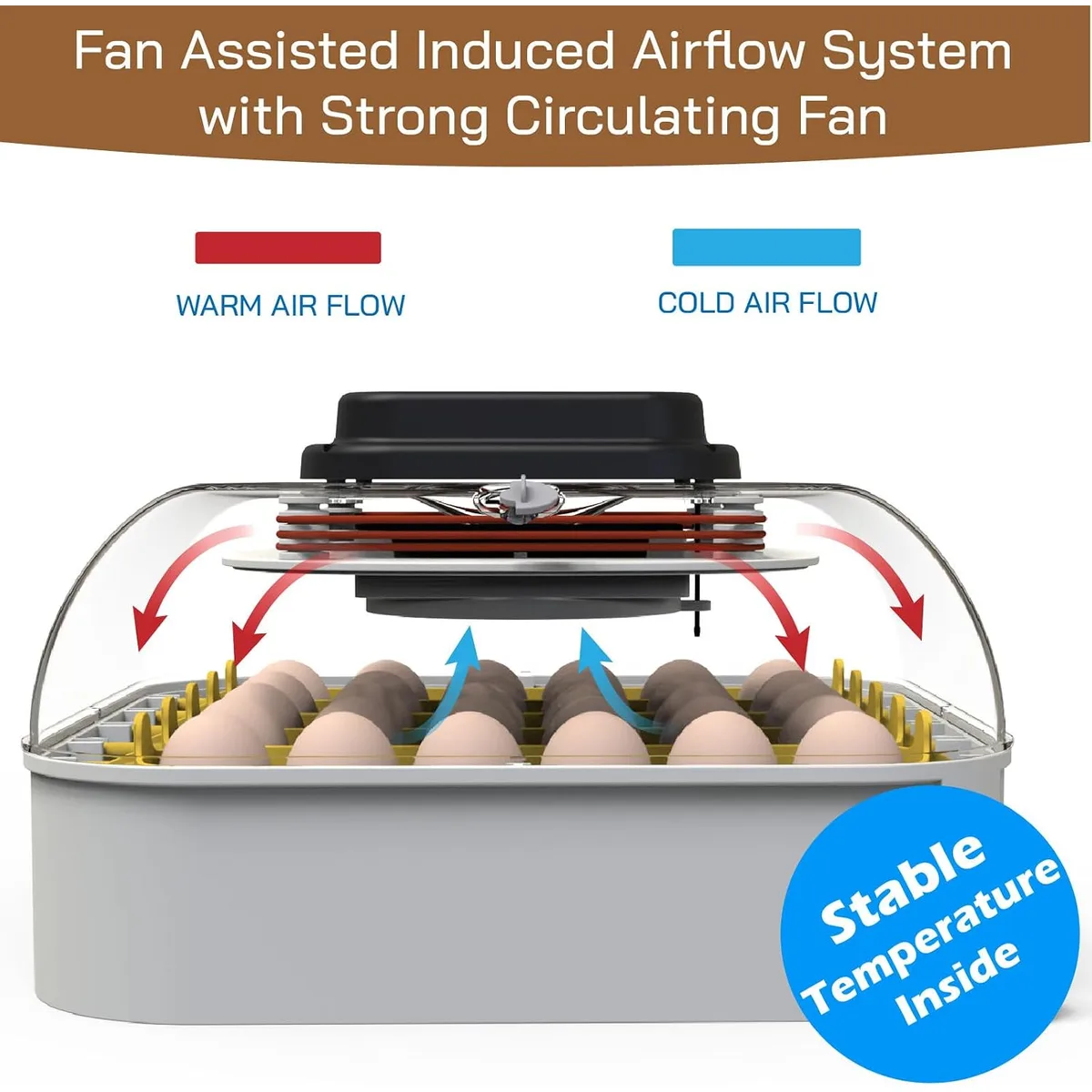 MATICOOPX 30 Egg Incubator with Humidity Display, Egg Candler, Automatic Egg Turner, for Hatching Chickens — image 9
