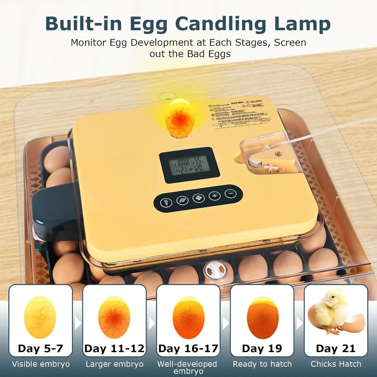 Incubators for Hatching Eggs, 56 Eggs Incubator with Egg Candler, Auto Egg Turner, Temp & Humidity Control, Hatch Day,360° Viewing for Chicken,Duck,Quail Eggs,Ideal for Farm,School and Lab,Blue&Yellow — image 6