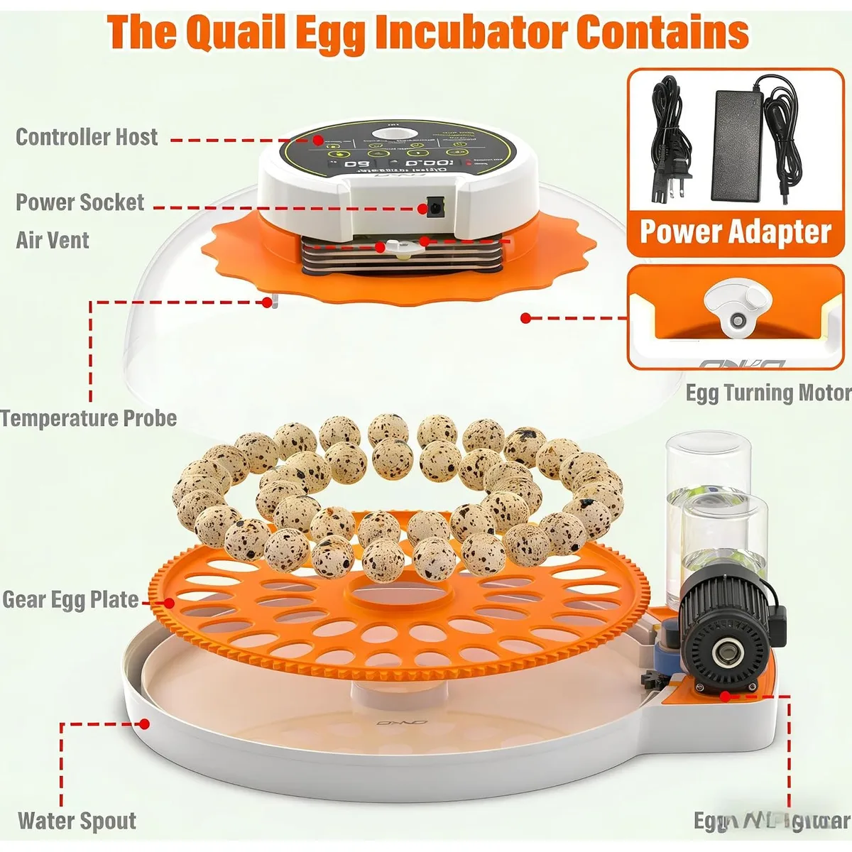 Quail Egg Incubator with Automatic Turner and Humidity Control — image 7