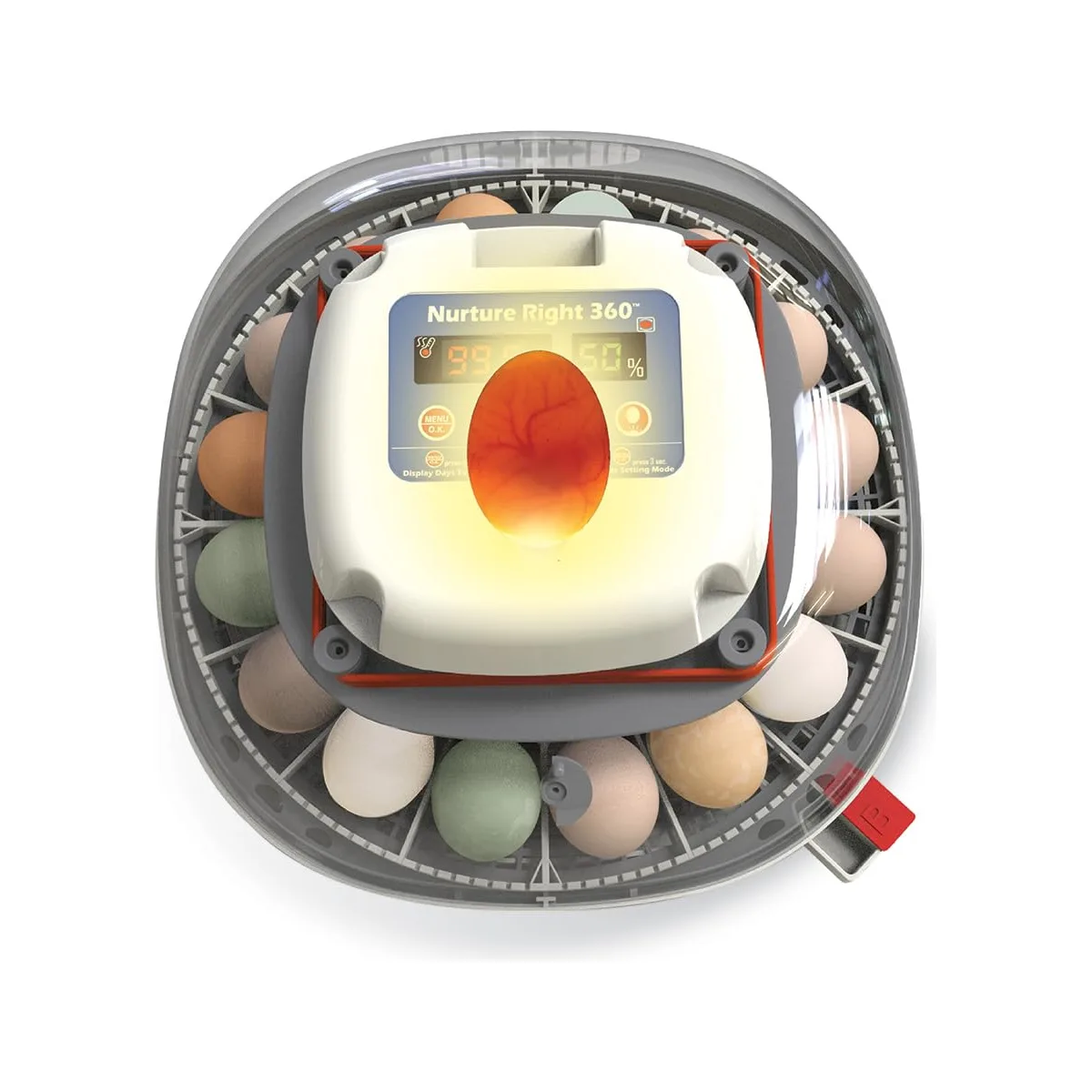 Harris Farms Nurture Right Egg Incubator with Auto Turner, Holds 22 Eggs — image 2