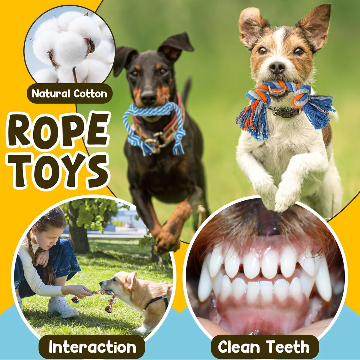 Zeaxuie 9 Pack Luxury Puppy Toys for Teething Small Dogs, Puppy Chew Toys with Cute Squeaky Dog Toys, Ball and More Rope Dog Chew Toys — image 5