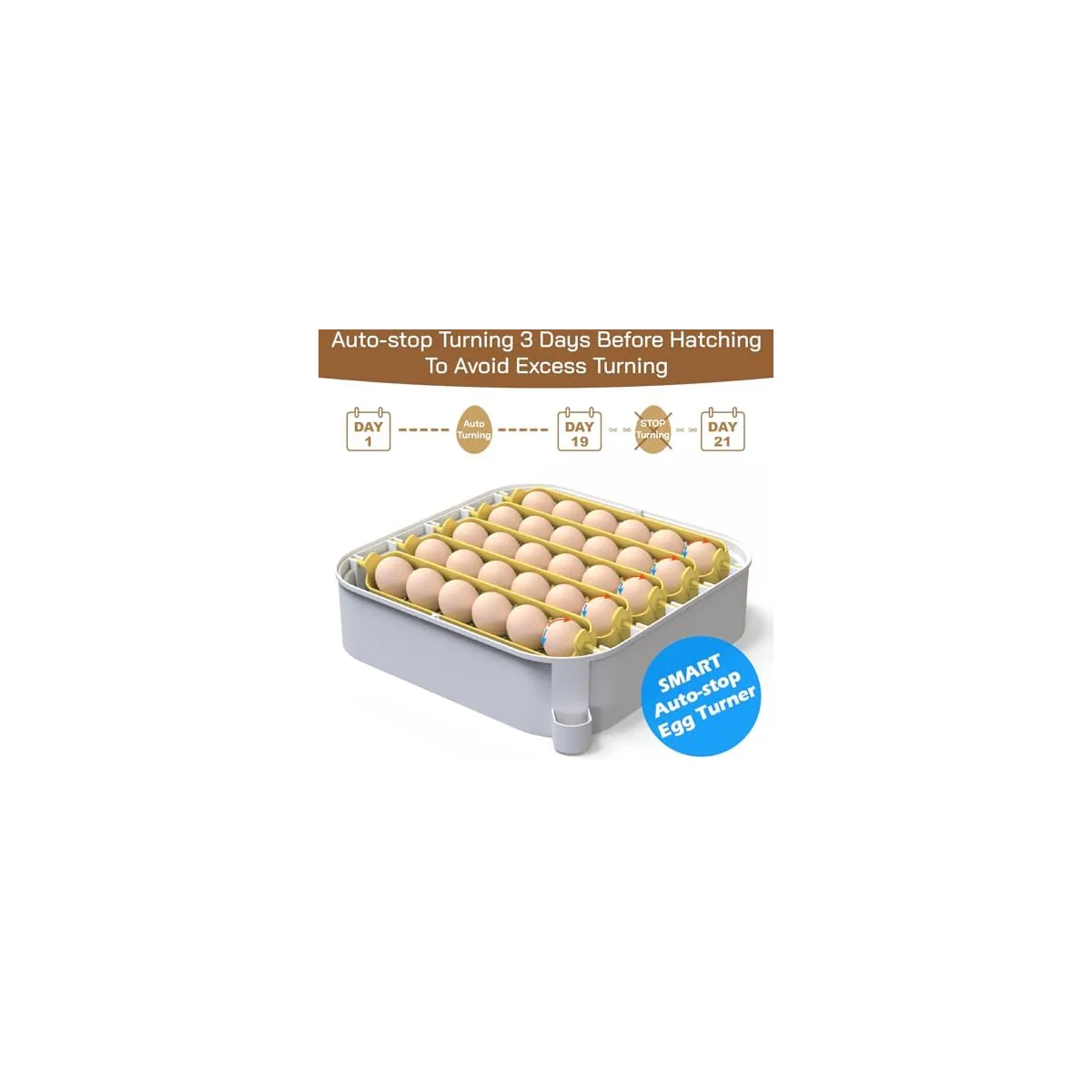MATICOOPX 30 Egg Incubator with Humidity Display, Egg Candler, Automatic Egg Turner, for Hatching Chickens — image 6