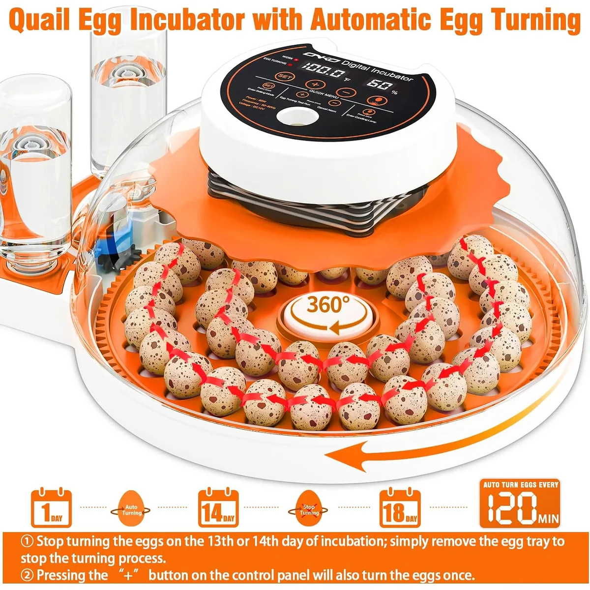 Quail Egg Incubator with Automatic Turner and Humidity Control — image 3