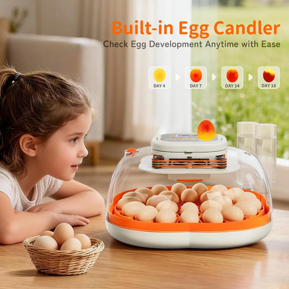APDOE Egg Incubators for Hatching Eggs, Temperature and Humidity Control, Automatic Egg Turning, Egg Candler, External Water Bottle, Air Vent, for Chicken, Duck & Quail Eggs, 25 Eggs — image 6