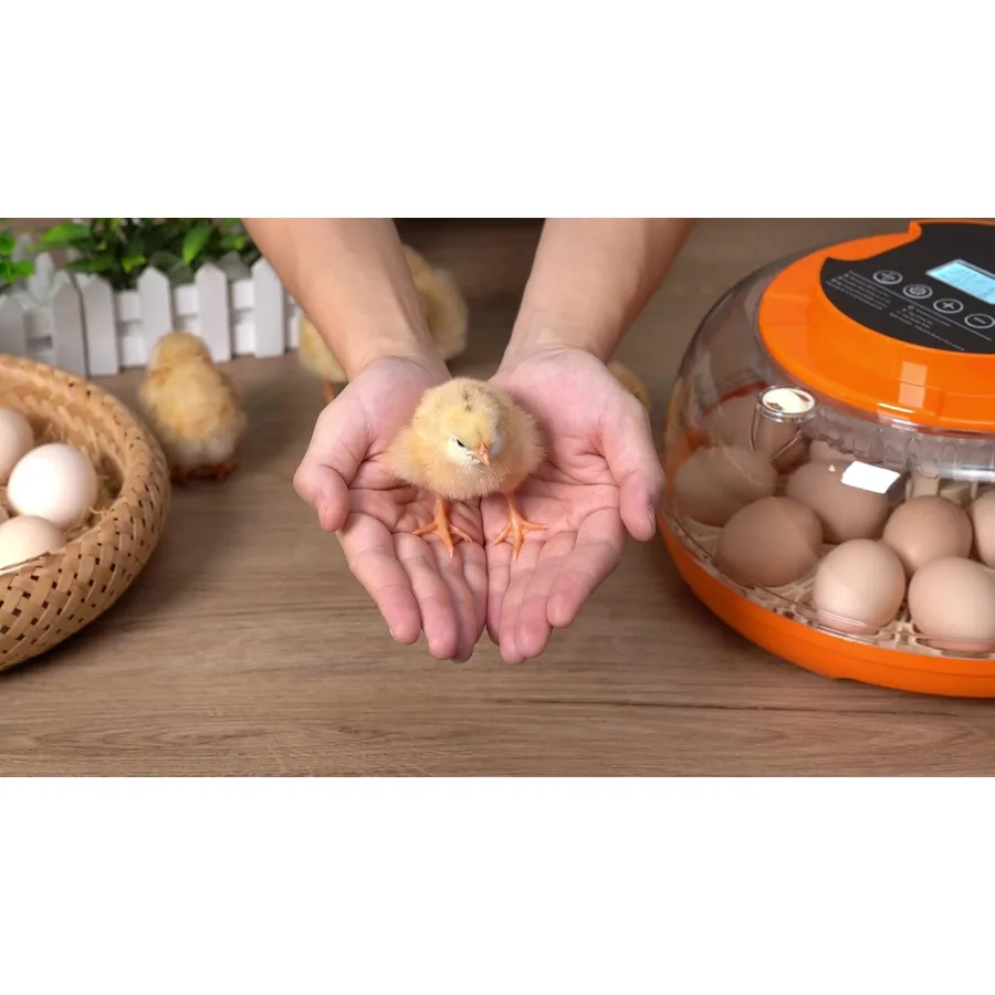 18 Egg Incubators for Hatching Eggs, Automatic Egg Turning and Humidity Control Incubator for Hatch Chicken Duck Quail Pigeon Pheasant Partridge Home Classroom Lab — image 8