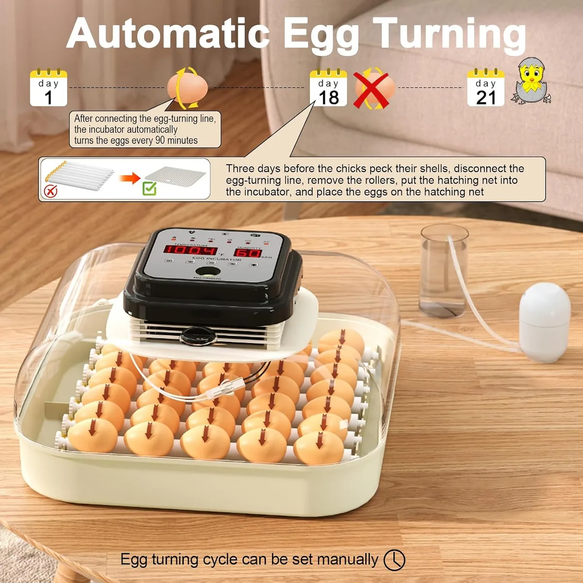 CoInceptus 35 Chicken Egg Incubator, Quail Incubator with Humidity Control — image 5