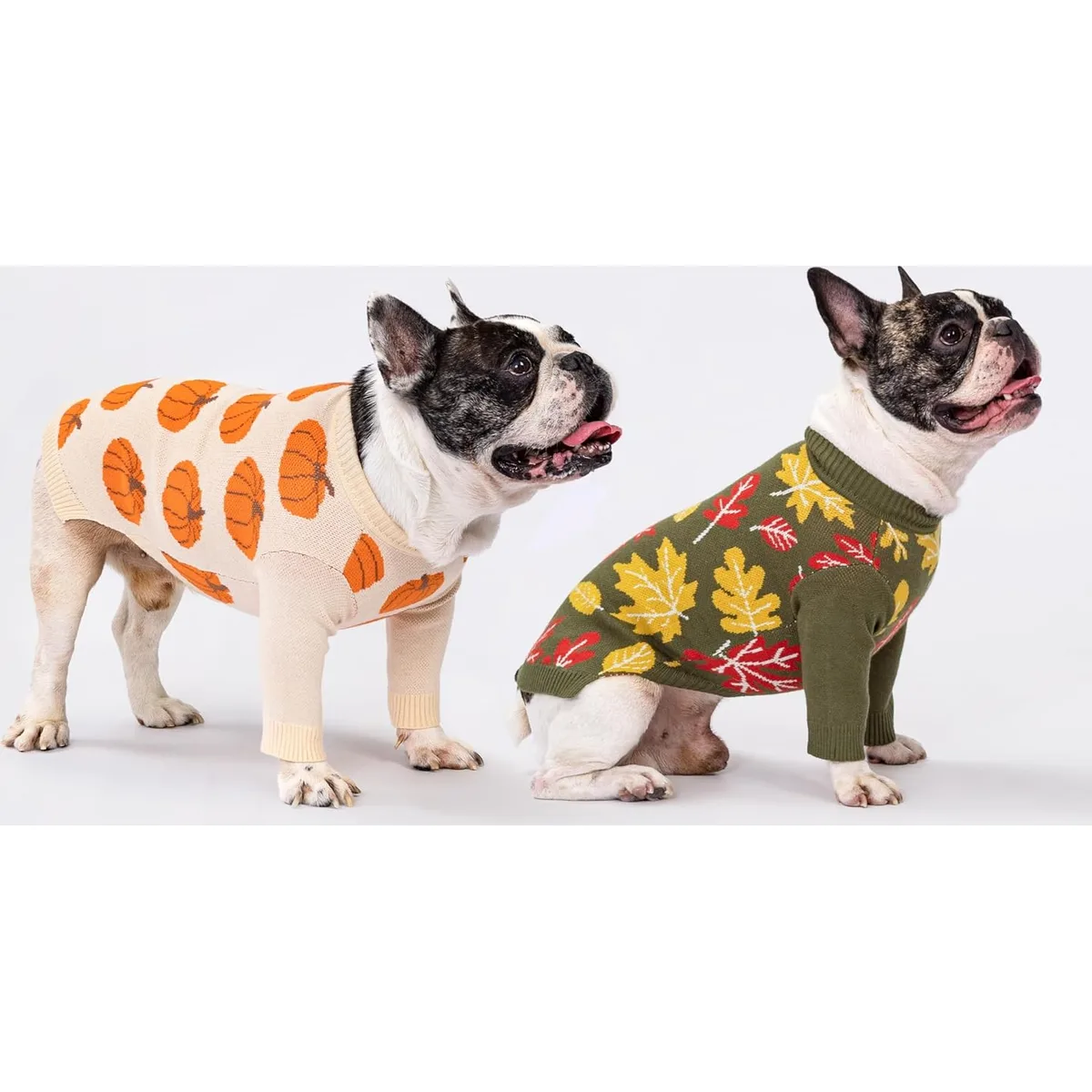 Fitwarm Pumpkin Dog Sweater, Thanksgiving Outfit for Small Dogs Boy Girl, Pet Outfit, Orange, Beige, Medium — image 4