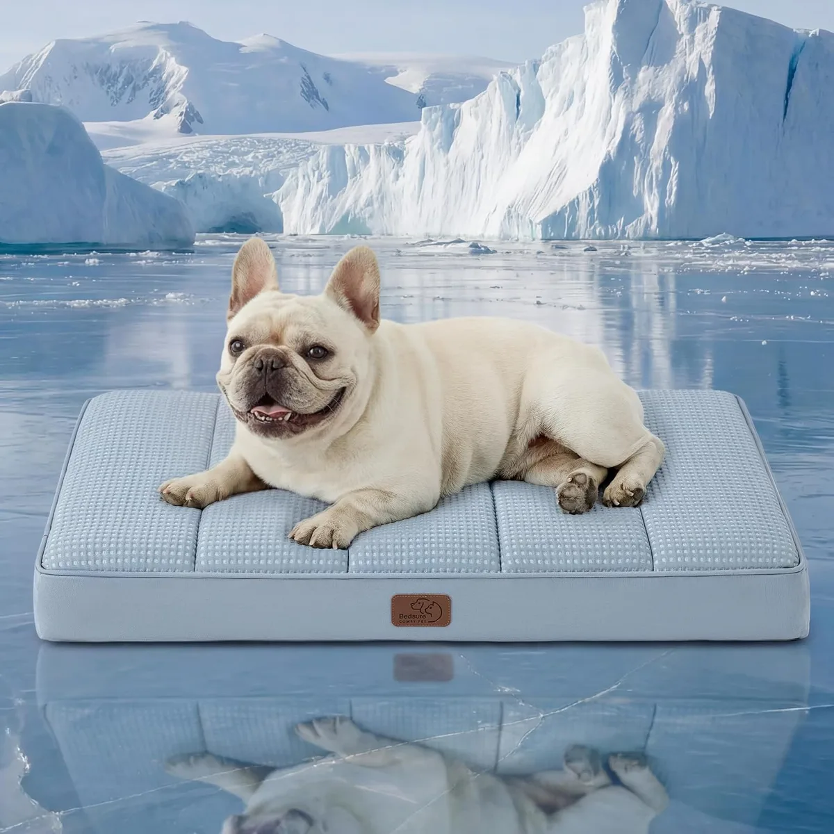 Bedsure Washable Dog Beds Large Sized Dog with Comfy Sherpa, 36x27in Grey — image 8