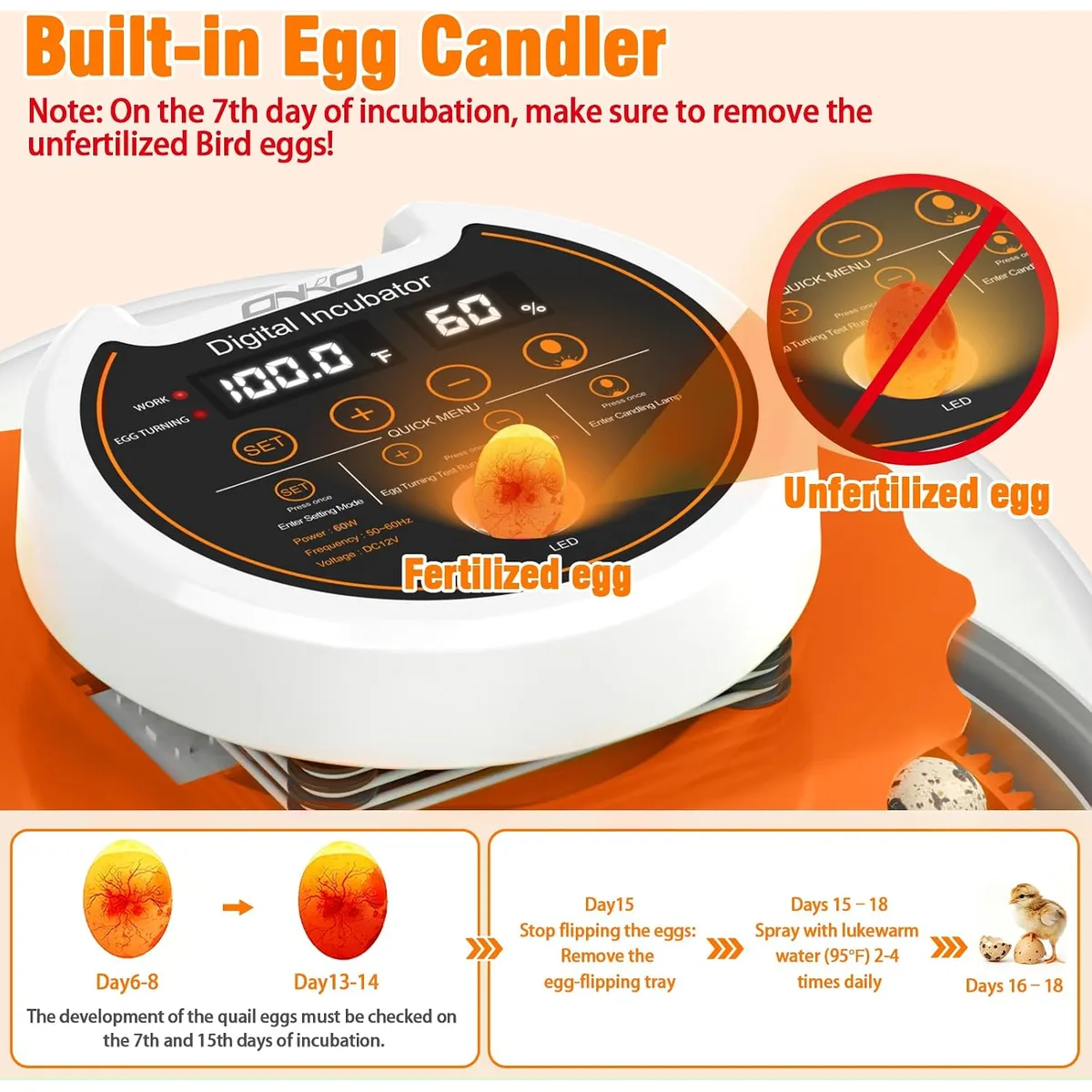 Quail Egg Incubator with Automatic Turner and Humidity Control — image 6