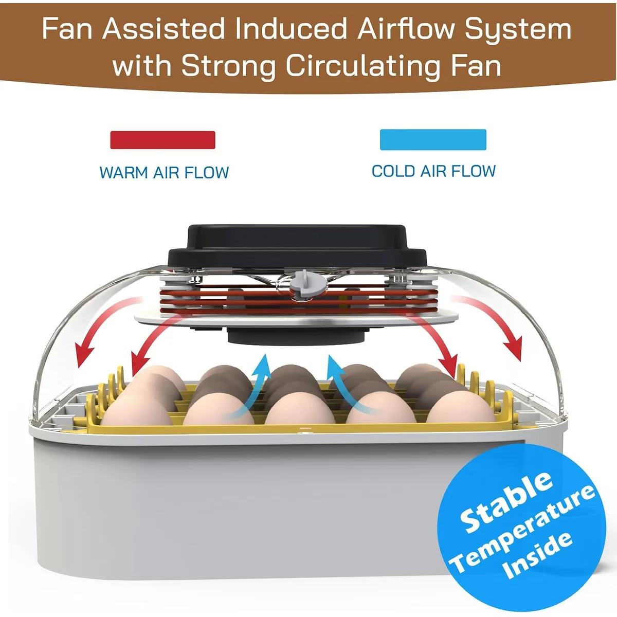 MATICOOPX 20 Egg Incubator with Humidity Display, Egg Candler, Automatic Egg Turner, for Hatching Chickens — image 8