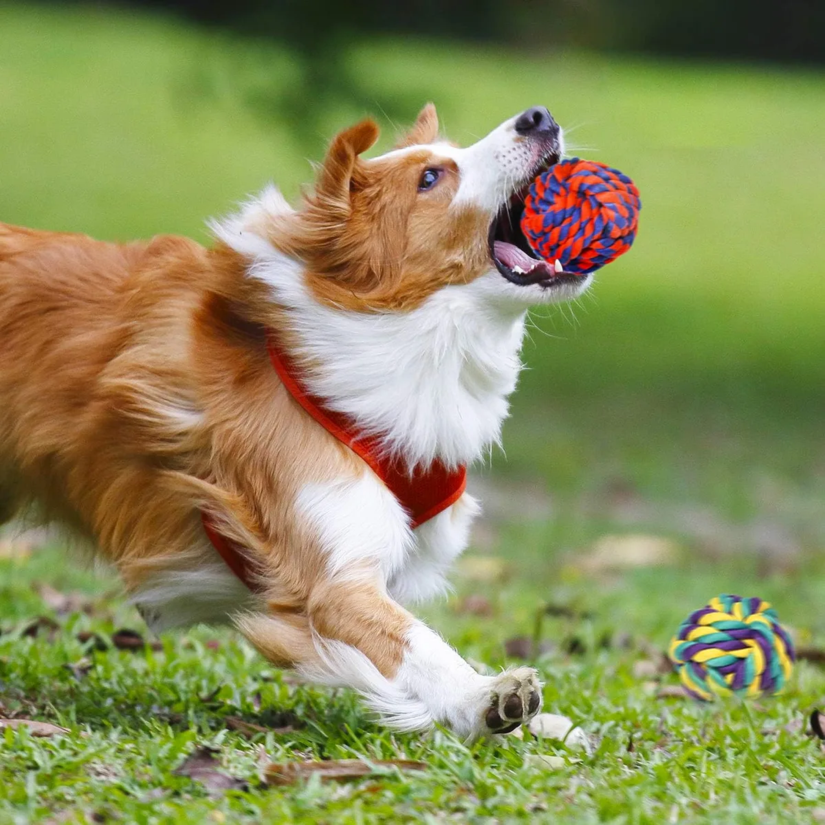 SHARLOVY Large Tough Chew Toys for Aggressive Chewers, 9 Pack Dog Rope Toys — image 8