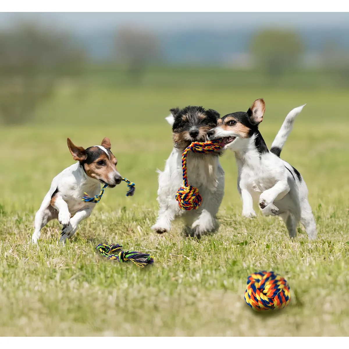 Puppy Teething Toys for Small Dogs, 5 Pack Cotton Puppy Dog Rope Toy — image 6