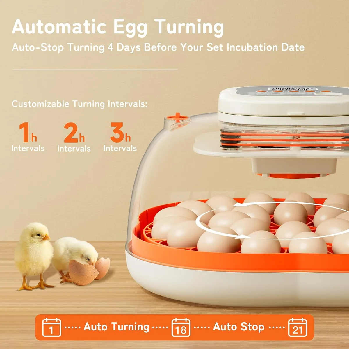APDOE Egg Incubators for Hatching Eggs, Temperature and Humidity Control, Automatic Egg Turning, Egg Candler, External Water Bottle, Air Vent, for Chicken, Duck & Quail Eggs, 25 Eggs — image 5