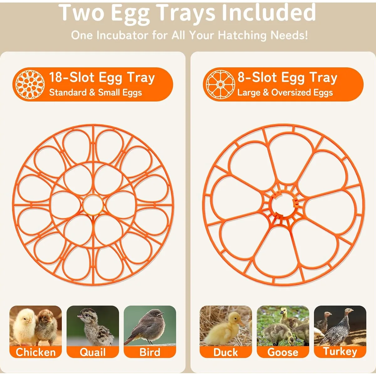 APDOE Egg Incubators for Hatching Eggs, Temperature and Humidity Control, Automatic Egg Turning, Egg Candler, External Water Bottle, Air Vent, for Chicken, Duck & Quail Eggs, 18 Eggs — image 3