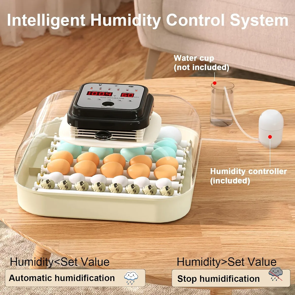 CoInceptus 35 Chicken Egg Incubator, Quail Incubator with Humidity Control — image 3
