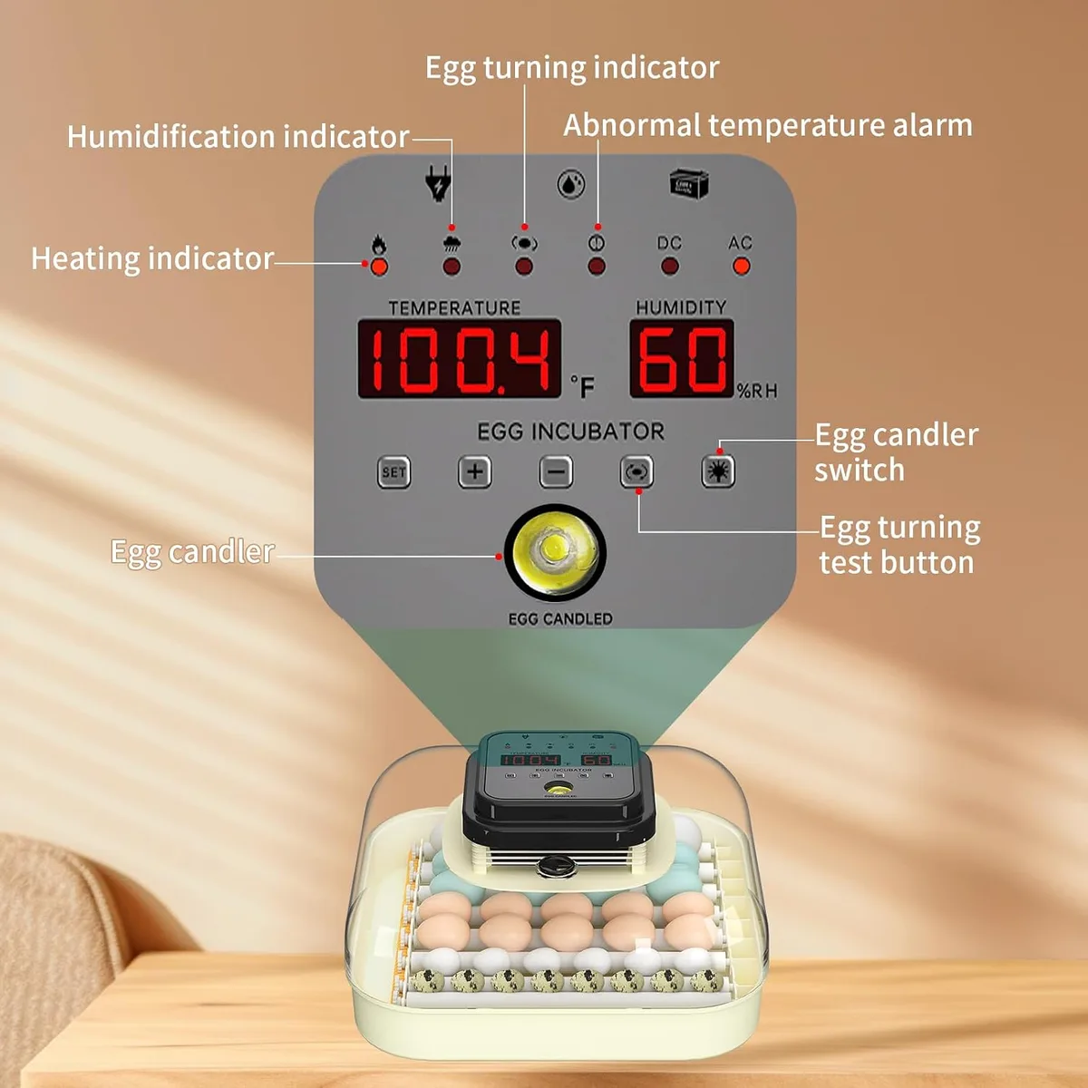 CoInceptus 35 Chicken Egg Incubator, Quail Incubator with Humidity Control — image 8