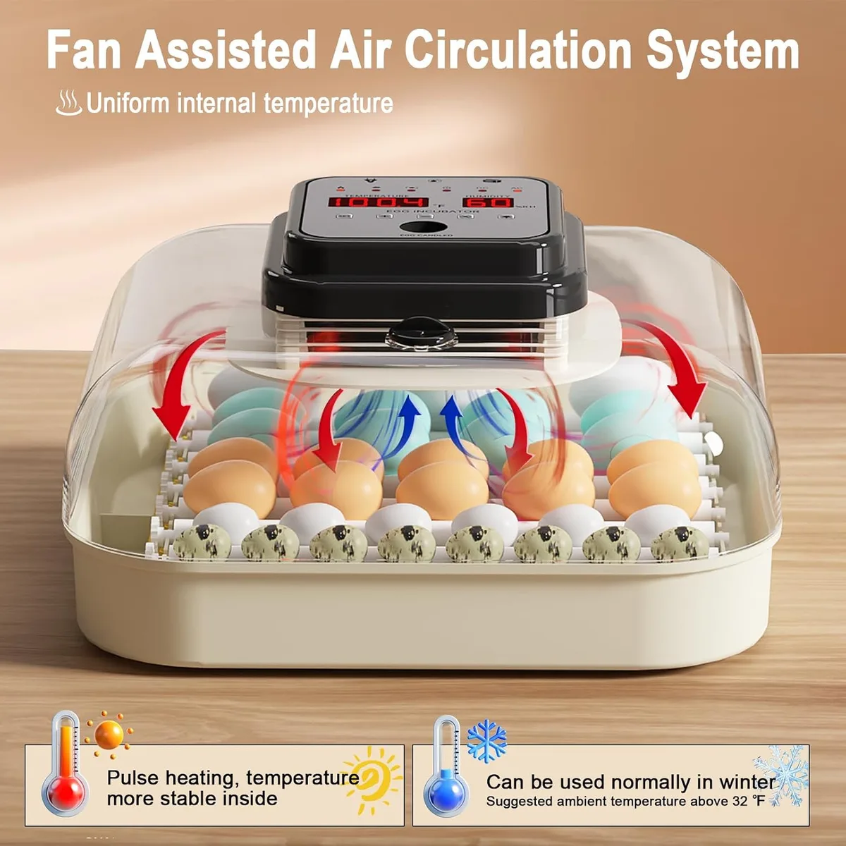 CoInceptus 35 Chicken Egg Incubator, Quail Incubator with Humidity Control — image 2