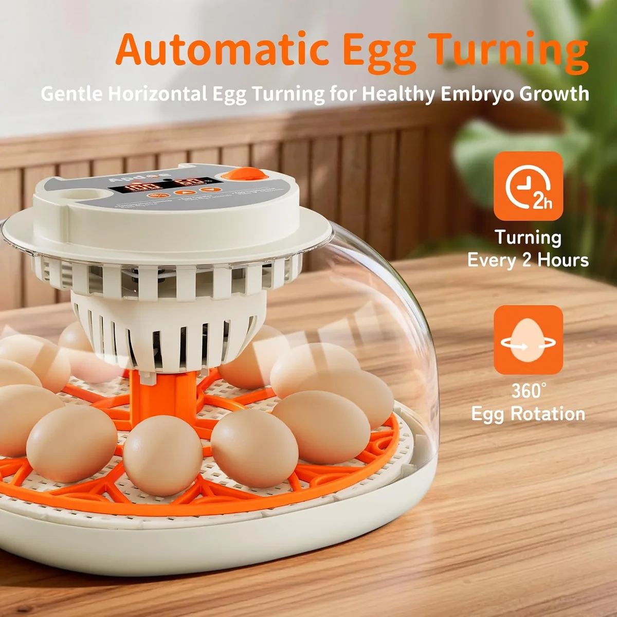 APDOE Egg Incubators for Hatching Eggs, Temperature and Humidity Control, Automatic Egg Turning, Egg Candler, External Water Bottle, Air Vent, for Chicken, Duck & Quail Eggs, 12 Eggs — image 3