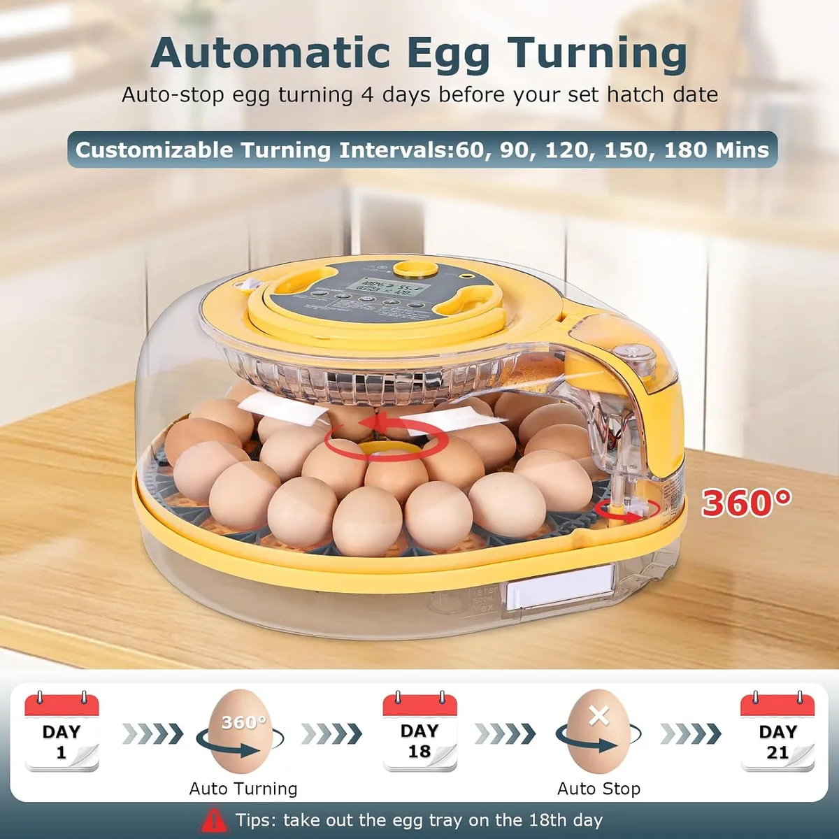 Egg Incubator, 26 Chicken/59 Quail Eggs Incubators for Hatching Eggs with Temp & Humidity Control, Auto Egg Turner, Adjustable Hatch Day & Air Vent, Egg Candler, Auto Water Refill, 360° Clear View — image 5