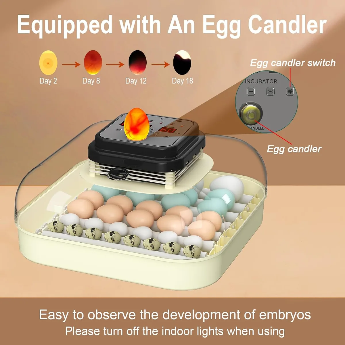 CoInceptus 35 Chicken Egg Incubator, Quail Incubator with Humidity Control — image 7