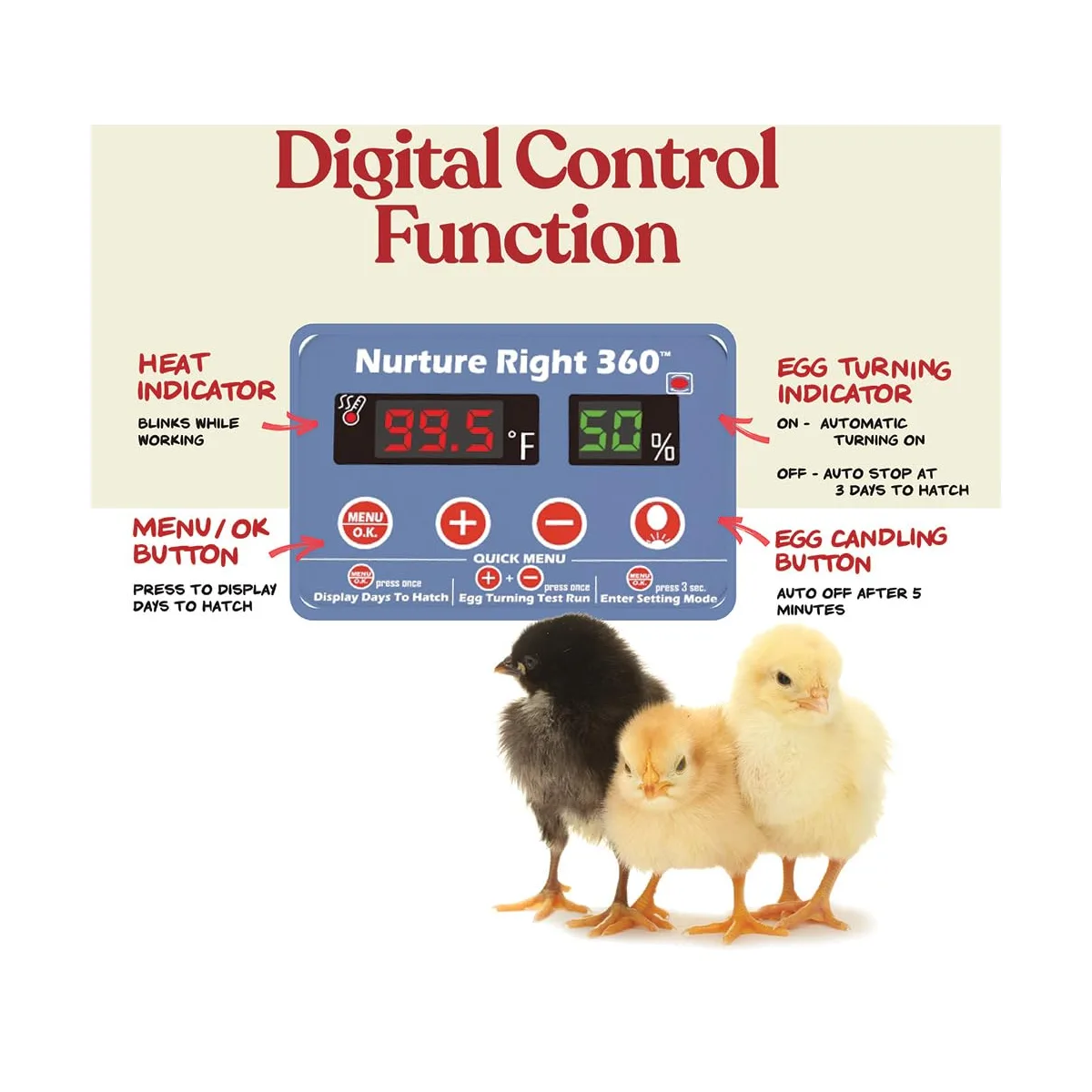 Harris Farms Nurture Right Egg Incubator with Auto Turner, Holds 22 Eggs — image 3