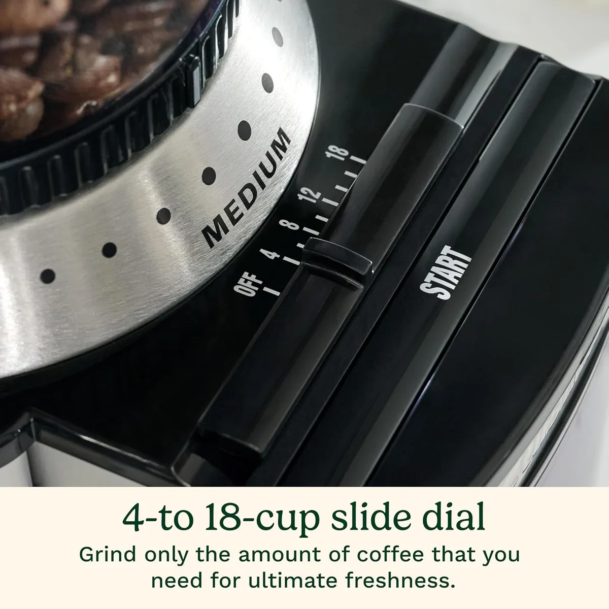 Cuisinart Electric Burr Coffee Grinder, 18 Settings, 4-18 Cups, DBM-8P1 — image 6