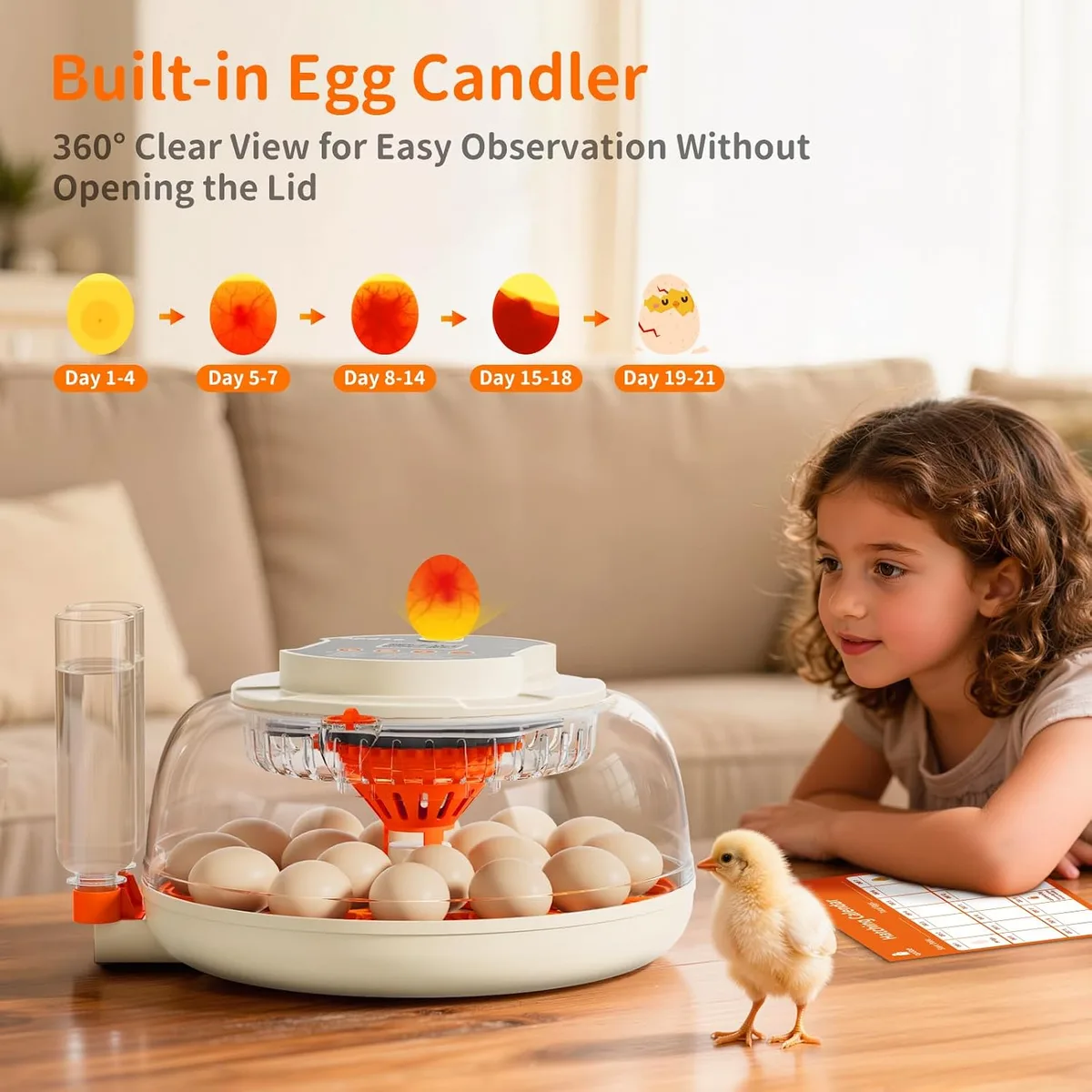 APDOE Egg Incubators for Hatching Eggs, Temperature and Humidity Control, Automatic Egg Turning, Egg Candler, External Water Bottle, Air Vent, for Chicken, Duck & Quail Eggs, 18 Eggs — image 6
