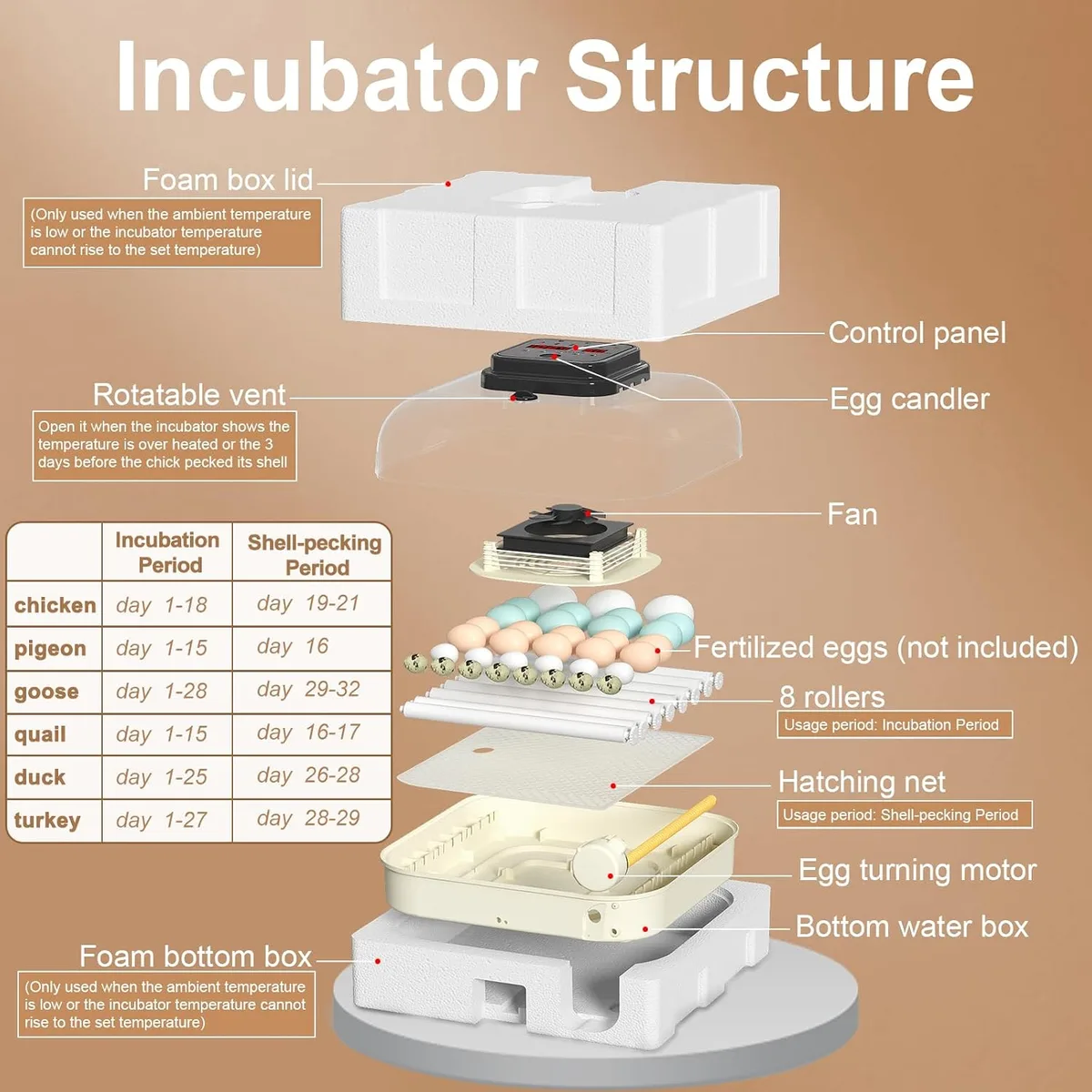 CoInceptus 35 Chicken Egg Incubator, Quail Incubator with Humidity Control — image 6