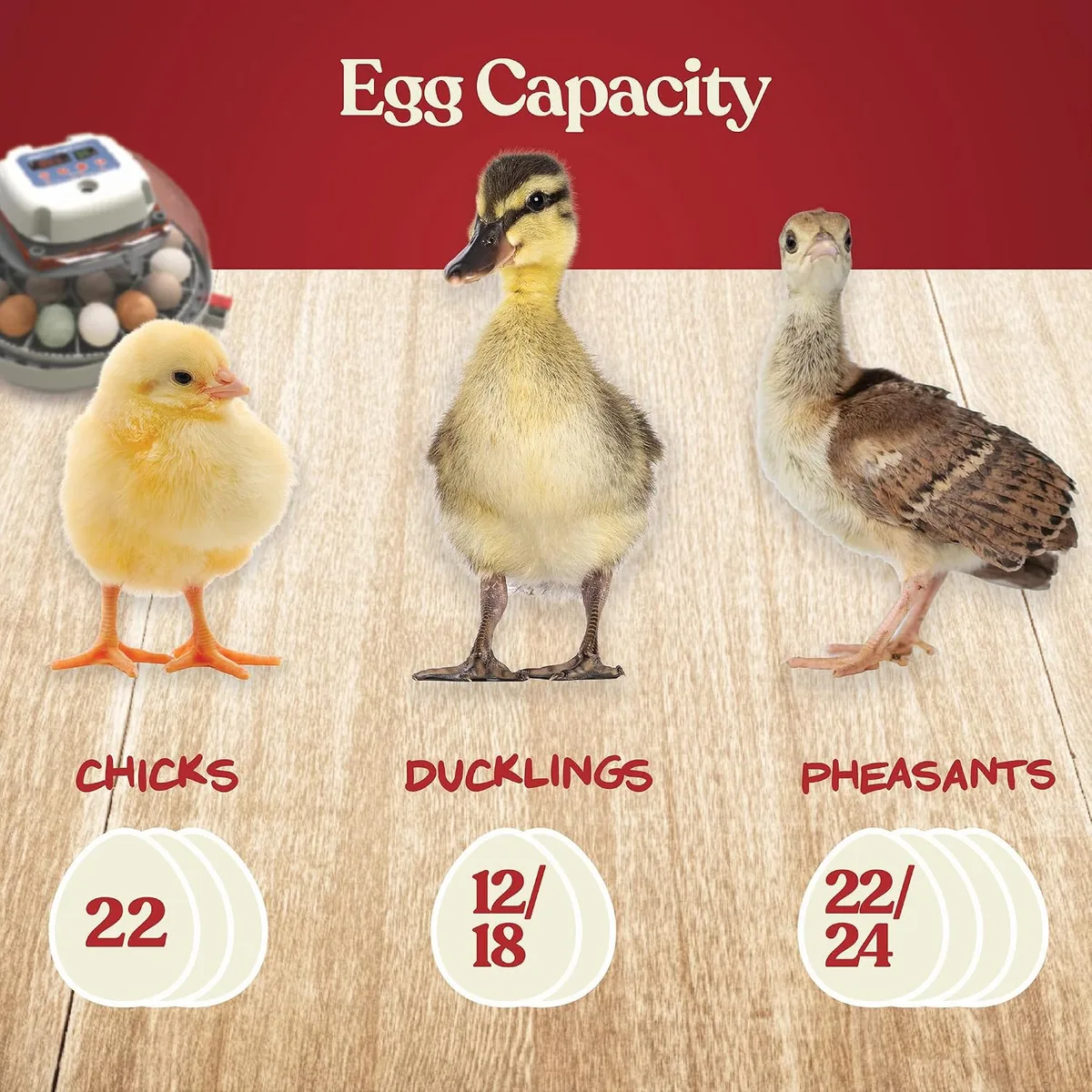 Harris Farms Nurture Right Egg Incubator with Auto Turner, Holds 22 Eggs — image 7