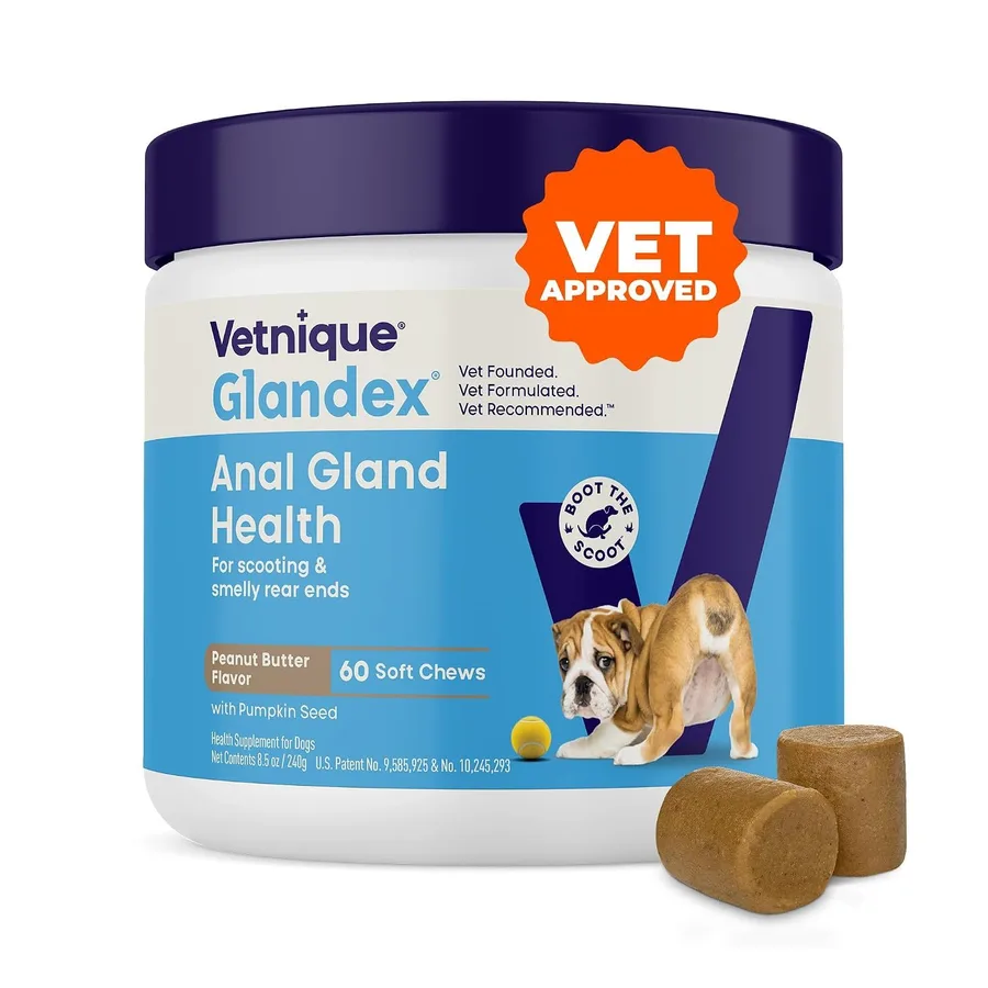 Glandex for Dogs Anal Gland Chews 60ct Pumpkin + Digestive Enzymes