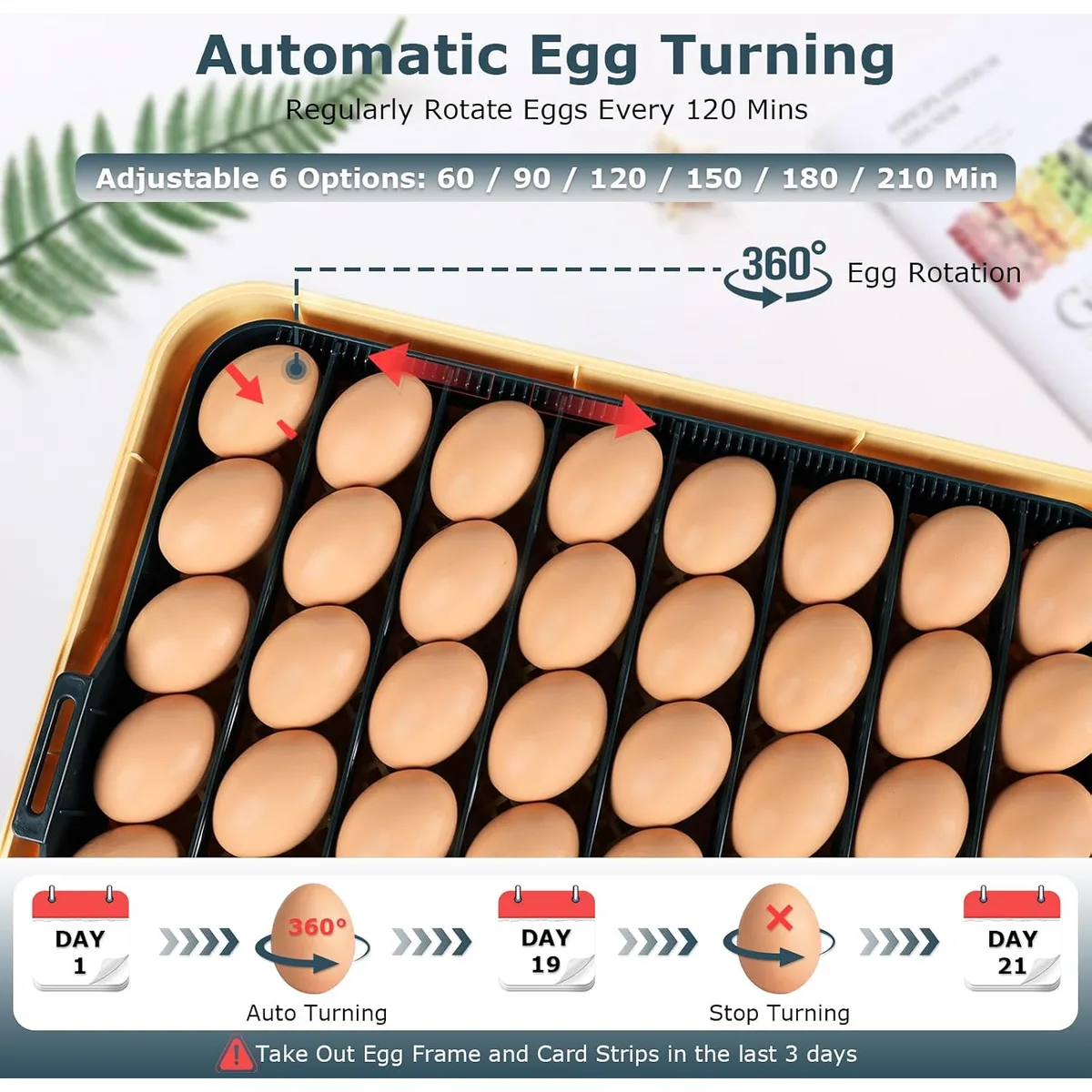Incubators for Hatching Eggs, 56 Eggs Incubator with Egg Candler, Auto Egg Turner, Temp & Humidity Control, Hatch Day,360° Viewing for Chicken,Duck,Quail Eggs,Ideal for Farm,School and Lab,Blue&Yellow — image 7